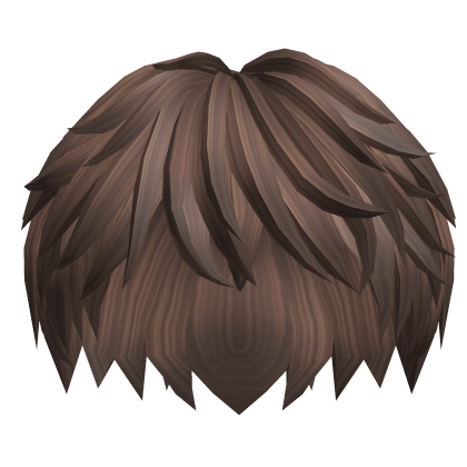 Short Brown Hair